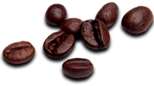 Coffee beans PNG image-9290